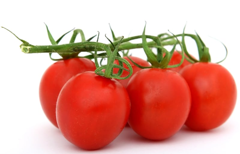 Healthy Food Ideas